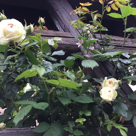 B&B Le Lodge Bourgheim Kültér fotó