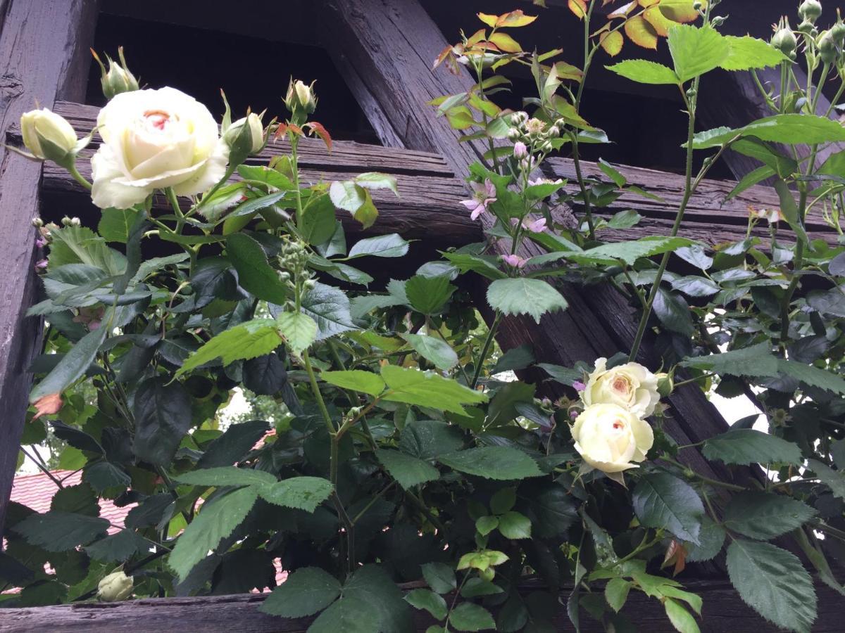 B&B Le Lodge Bourgheim Kültér fotó