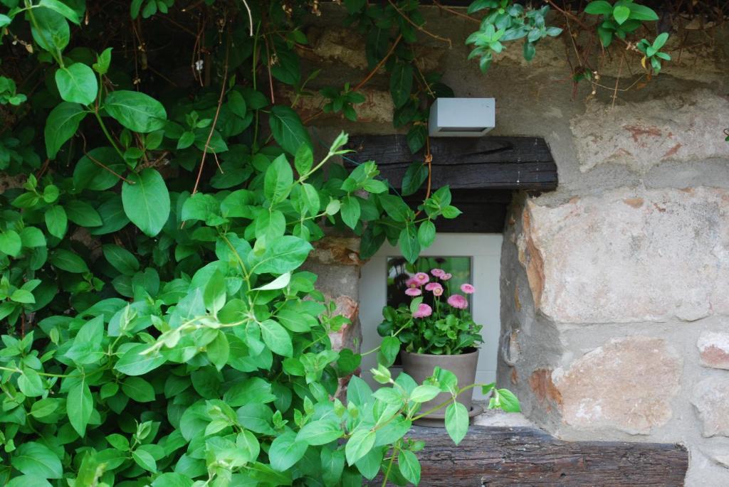 B&B Le Lodge Bourgheim Kültér fotó